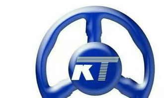 多元化代驾服务 从酒后代驾到专车服务的全面解析